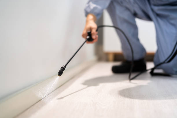Licensed Pest Control service in San Rafael, NM - Show Me Pest Control