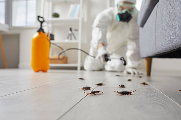 Commercial Kitchen Cockroach Control in San Rafael